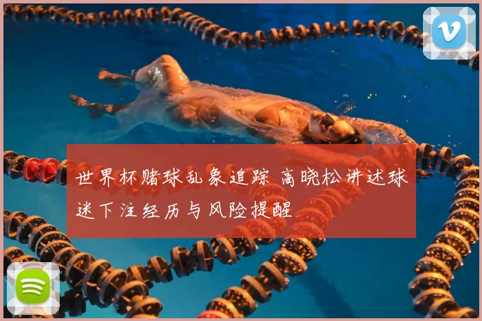 世界杯赌球乱象追踪 高晓松讲述球迷下注经历与风险提醒